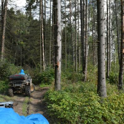 Прокат квадроциклов в Москве