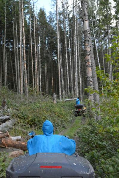 Прокат квадроциклов в Москве